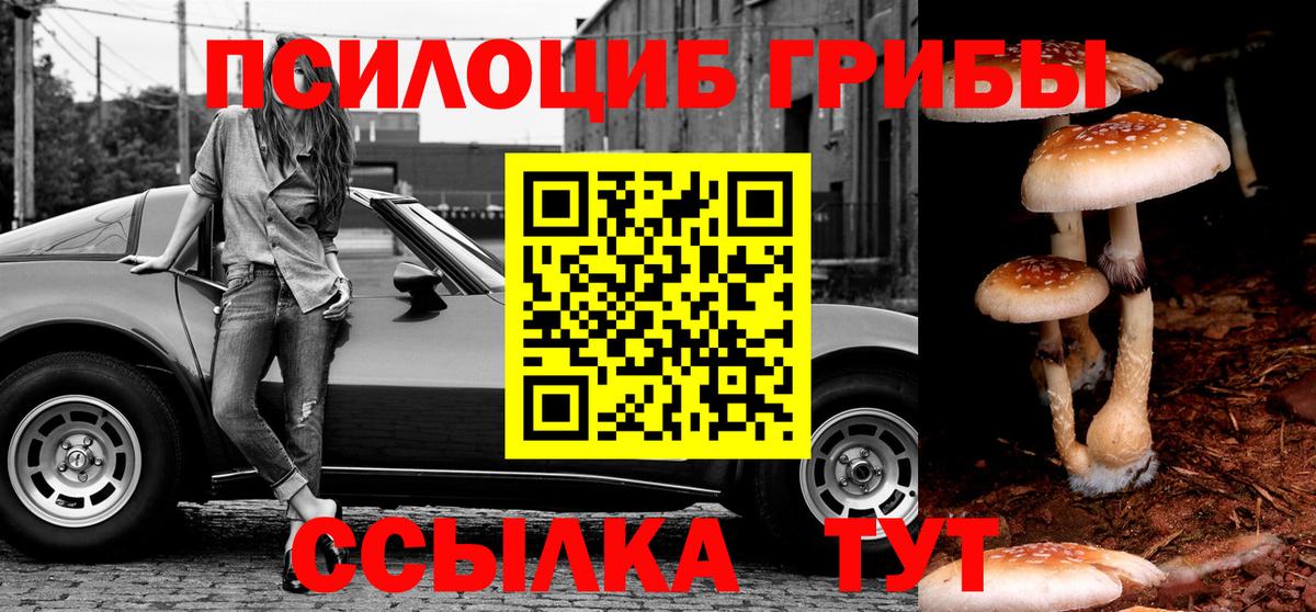 Алексеевка  Галлюциногенные грибы ЛСД  цена наркотик  Псилоцибиновые грибы ЛСД  Вход с VPN 
